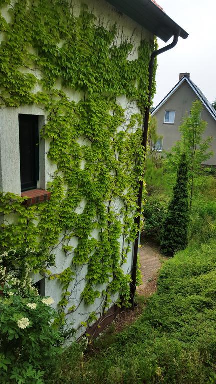 Haus Seefeld ユッケリッツ エクステリア 写真